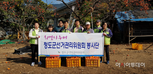 청도선관위감수확일손돕기1
