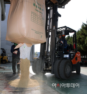 태안군 공공비축 미곡 매입 현장