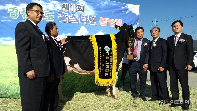 1031(창녕군, 제1회 경상남도 젖소 품평회 성황리)