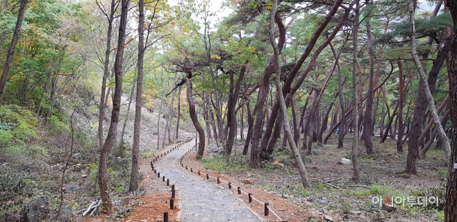 1031 밀양에 명품 산책로 탄생(3)