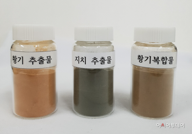 황기, 지치, 황기복합물 추출물
