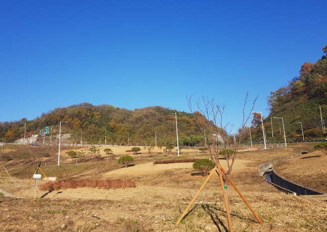 1105 안동 수상동 한티교차로 도시숲 조성2