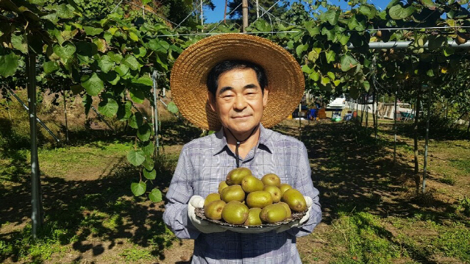 진주신현열(참다래)