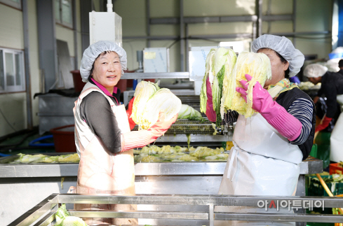 서산 절임배추