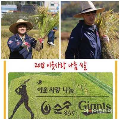 상 완