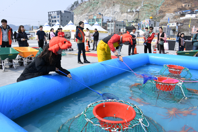 사진자료1(2019.1.3.)2018년 영덕대게축제2