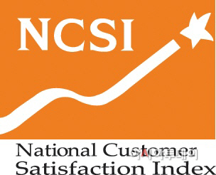 NCSI 로고
