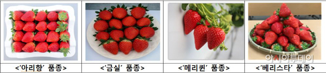 캡처