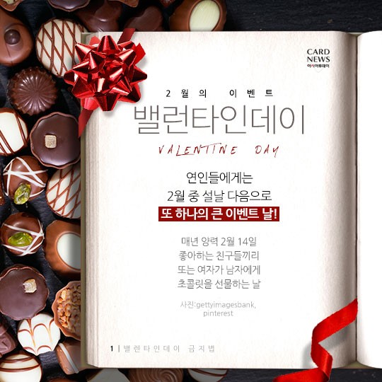 카드 뉴스 이미지