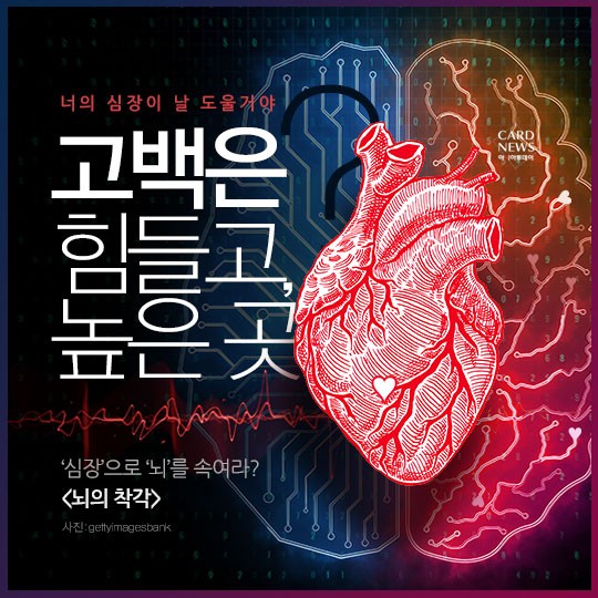 카드 뉴스 이미지