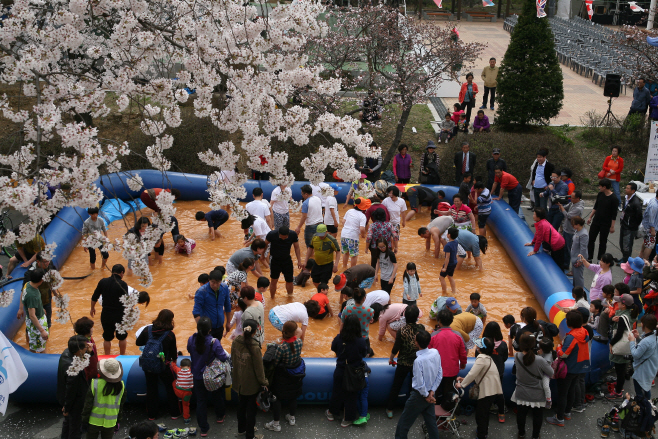 0222(창녕군 봄 축제 기획보도)2