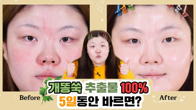 미샤