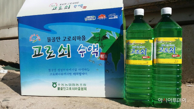 남양주 고로쇠 맛보세요!!
