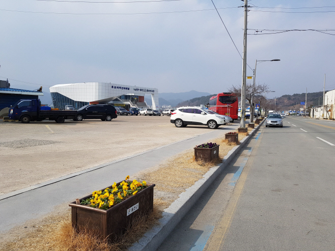울진군 봄꽃길 조성으로 관광객 눈길1