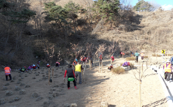 안동시, 상반기 공공근로 및 지역공동체일자리사업 시작