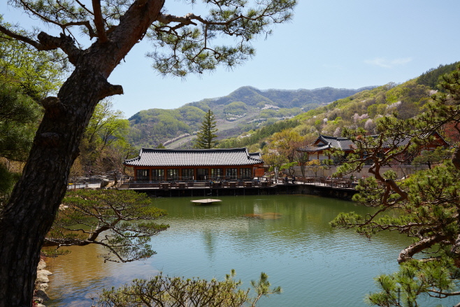 여행/ 화담숲