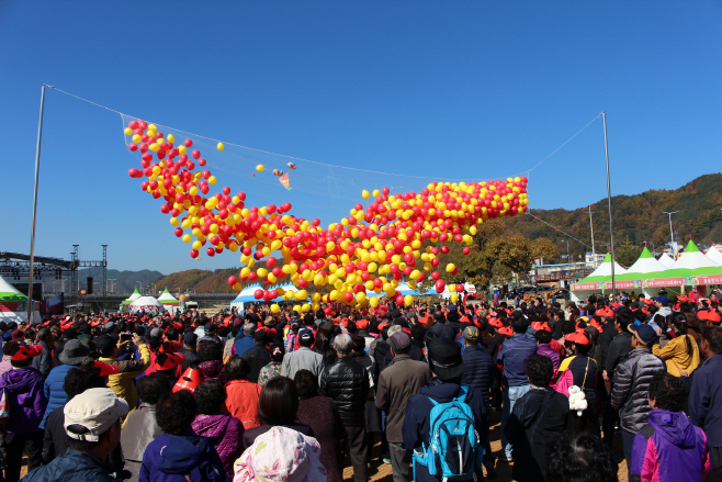 청송군, 2018 청송사과축제