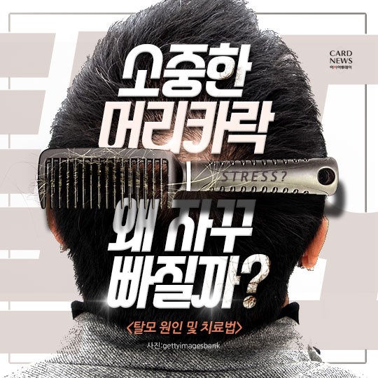 카드 뉴스 이미지