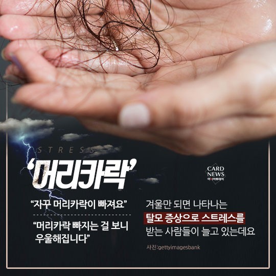 카드 뉴스 이미지