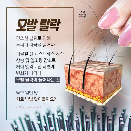 카드 뉴스 이미지