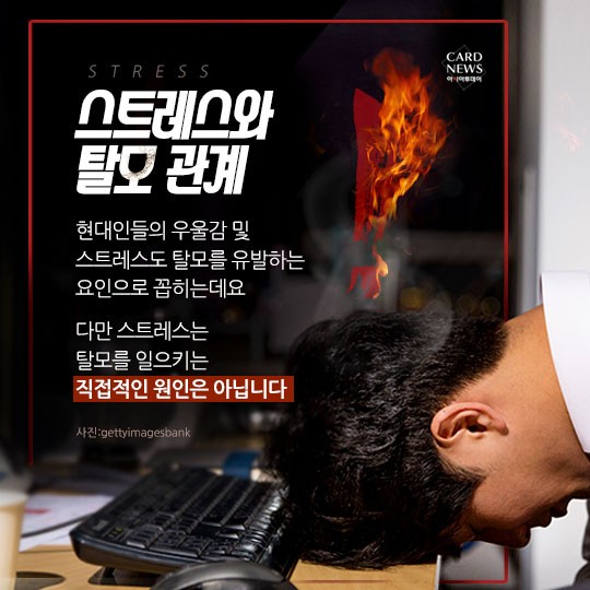 카드 뉴스 이미지