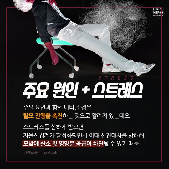 카드 뉴스 이미지