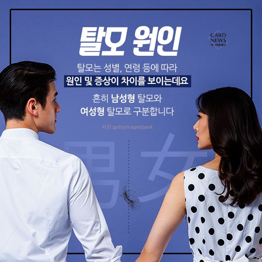 카드 뉴스 이미지