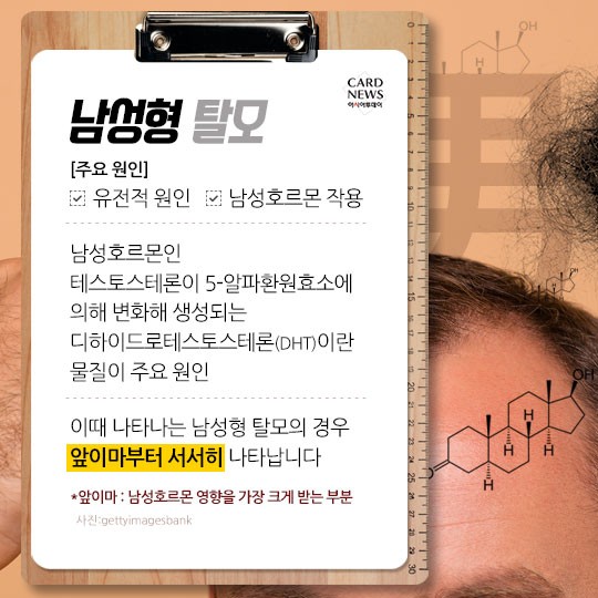 카드 뉴스 이미지