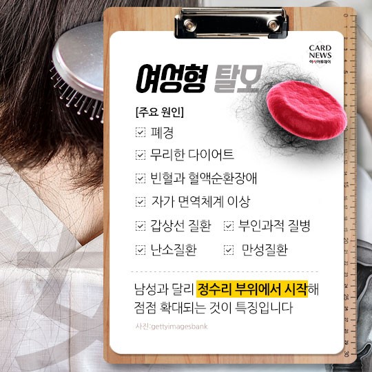 카드 뉴스 이미지