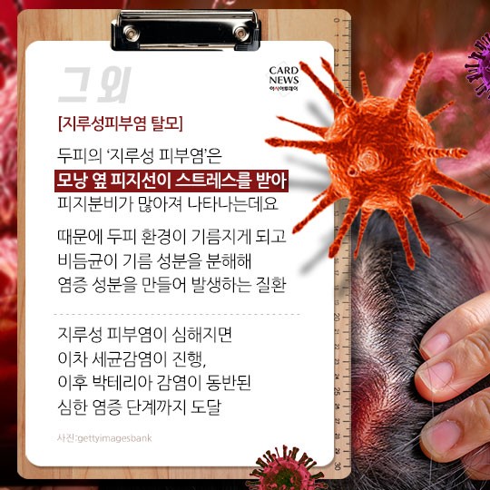 카드 뉴스 이미지