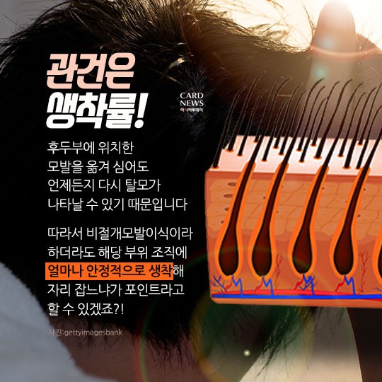 카드 뉴스 이미지