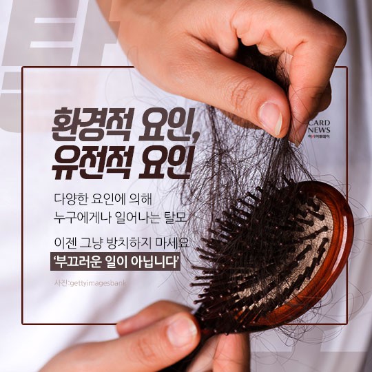 카드 뉴스 이미지