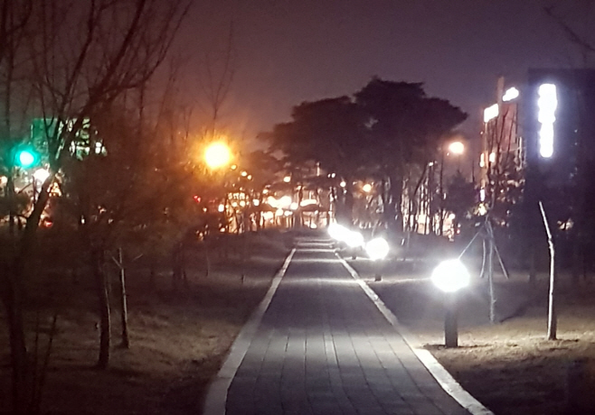 아산시 배방 공원 조명등