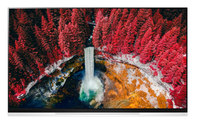 [사진2]LG 올레드 TV(C9 시리즈)