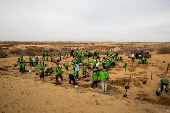 쿠부치 사막에서 나무를 심는 2018 한중 녹색봉사단 모습