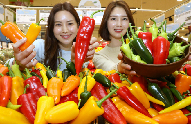(19-03-26) 롯데마트에서 알록달록 이색채소를!! (가로1)