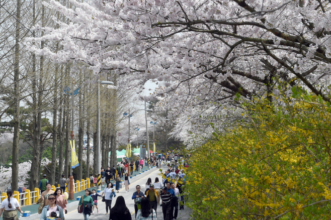 유달산 봄축제