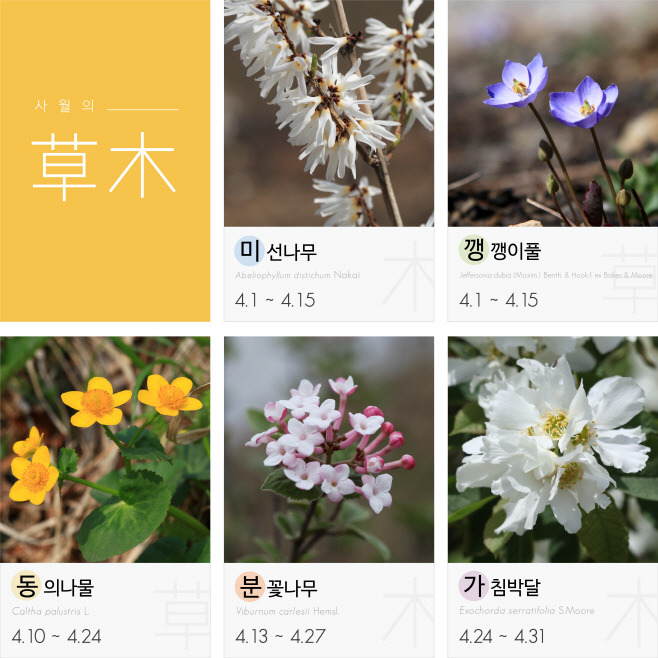 02. 사진자료_4월의 식물 대표 5종