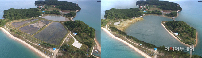 서산시, 팔봉면 고파도 갯벌생태계복원사업 최종 승인
