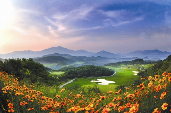 베어크리크 제공