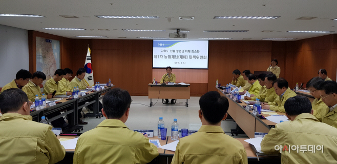 농협중앙회 강원도 산불 관련 긴급 대책 회의