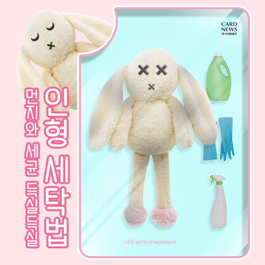 카드 뉴스 이미지