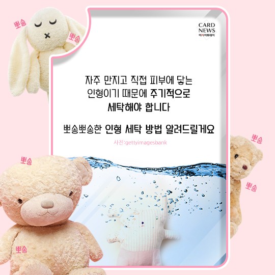 카드 뉴스 이미지