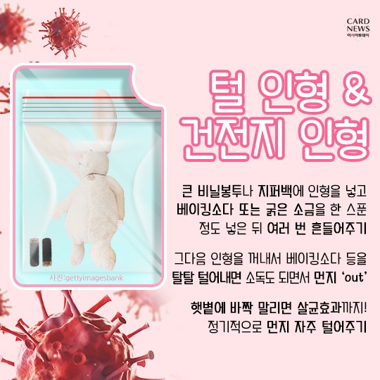 카드 뉴스 이미지