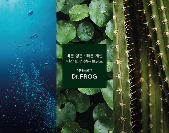 참존
