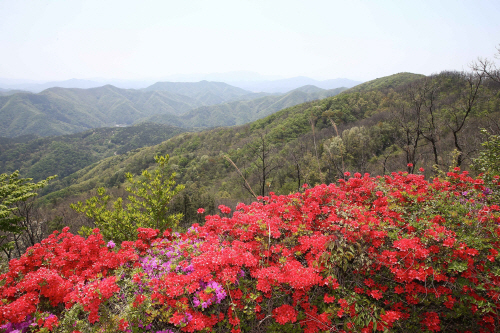 화순군