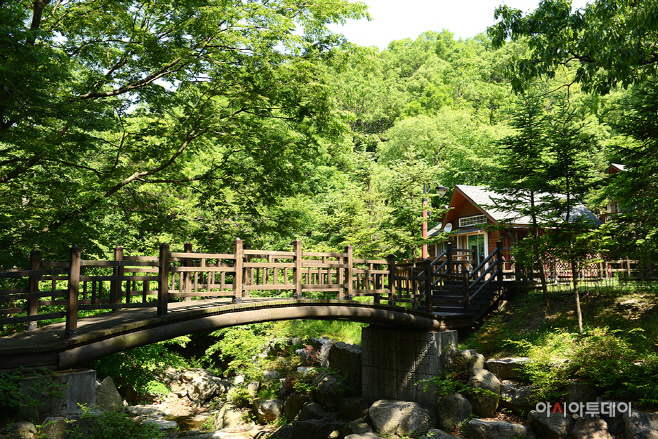 용인시 처인구 모현읍 초부리 용인 자연휴양림 모습