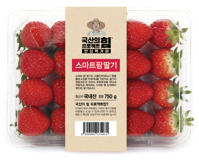 스마트팜딸기