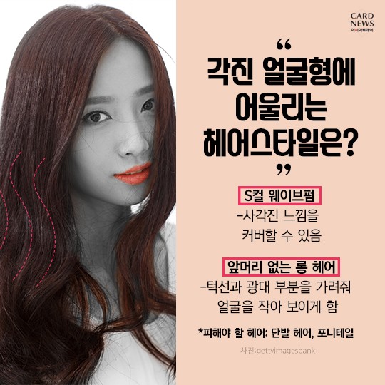 카드 뉴스 이미지