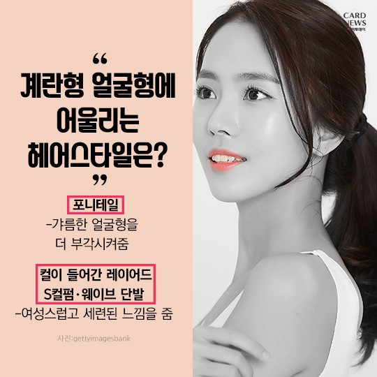 카드 뉴스 이미지